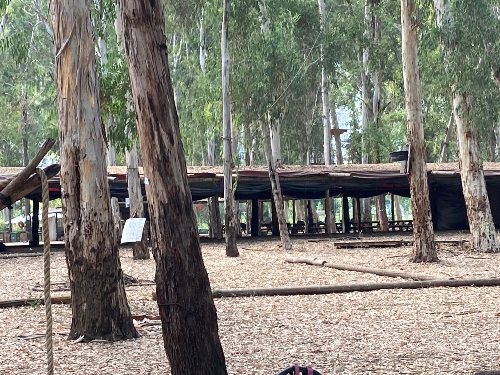 WhatsApp Image 2020-08-07 at 10.32.21 AM.jpeg.jpeg